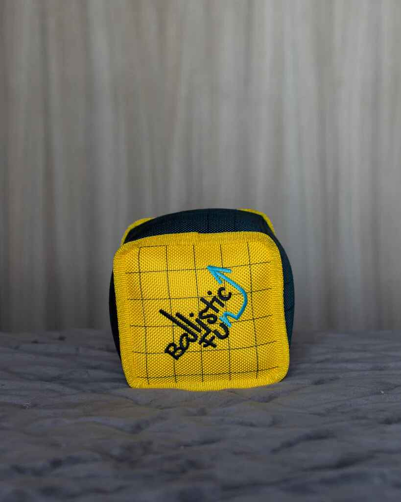 Durable Ballistic Nylon Dog Cube for Active Play